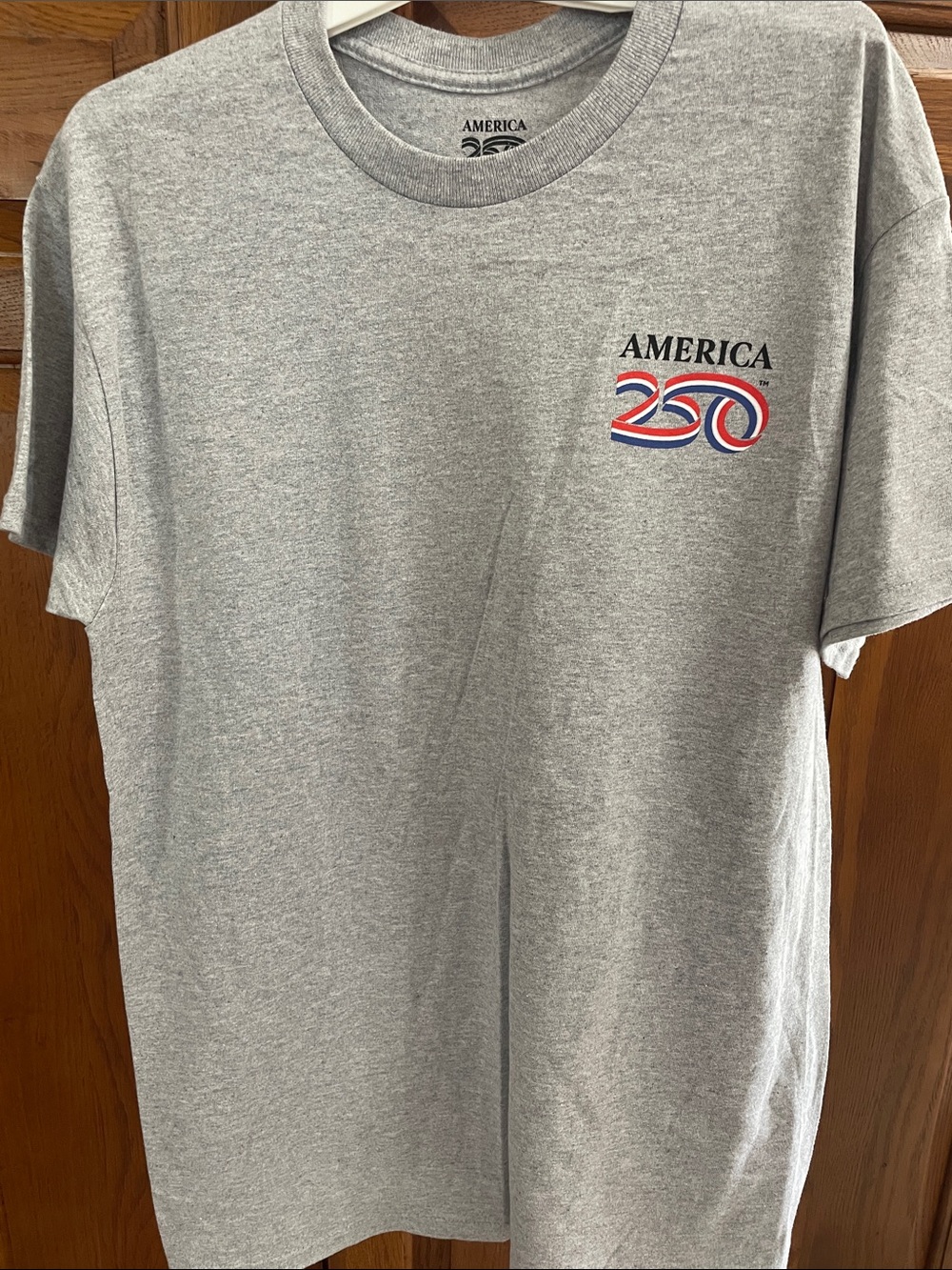 250 America 🇺🇸 Gray Graphic Crewneck T-Shirt NWOT Sz. M Florida 4th of July